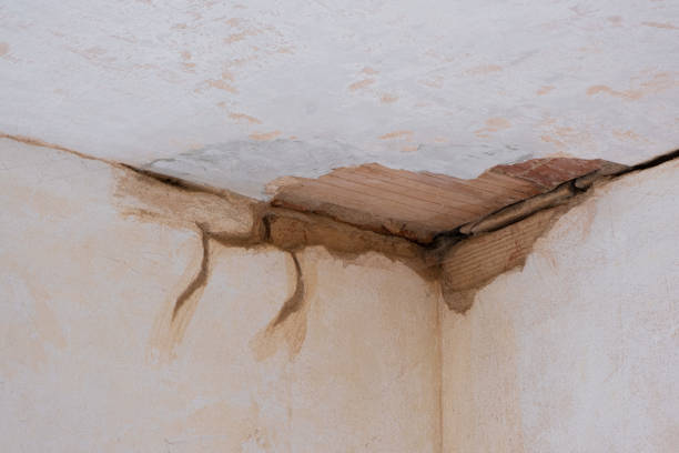 Water damage restoration experts in Ravenna, OH