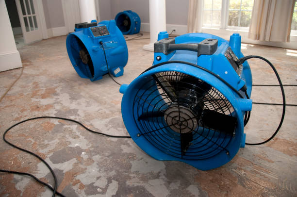 Best Water damage restoration company  in Ravenna, OH